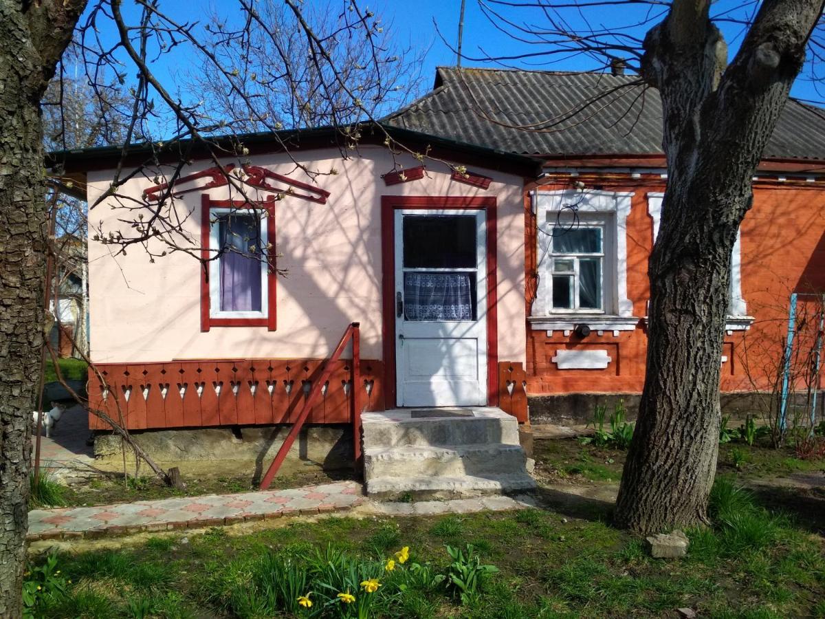 Vila Діво Bohuslav Exteriér fotografie